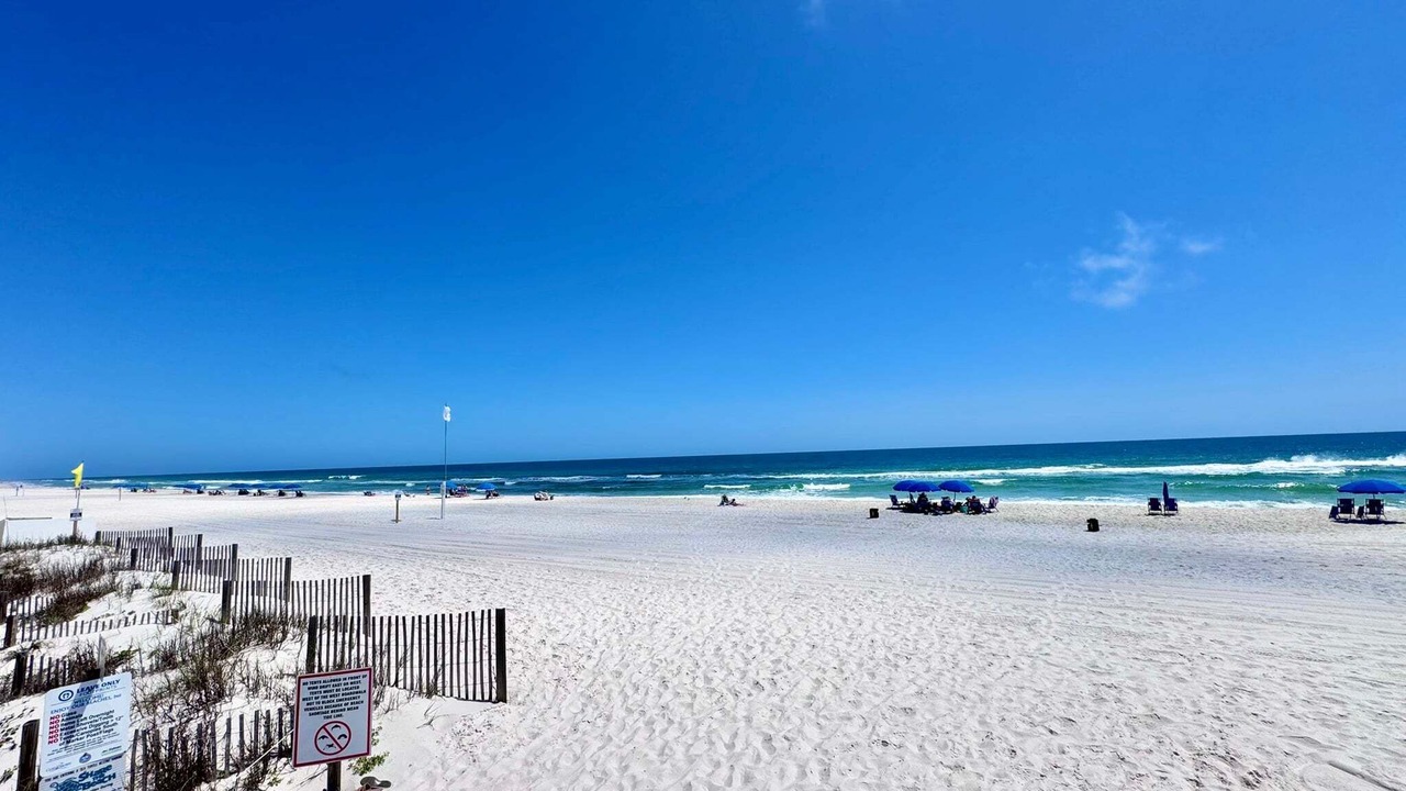 Photo of Others in Orange Beach East