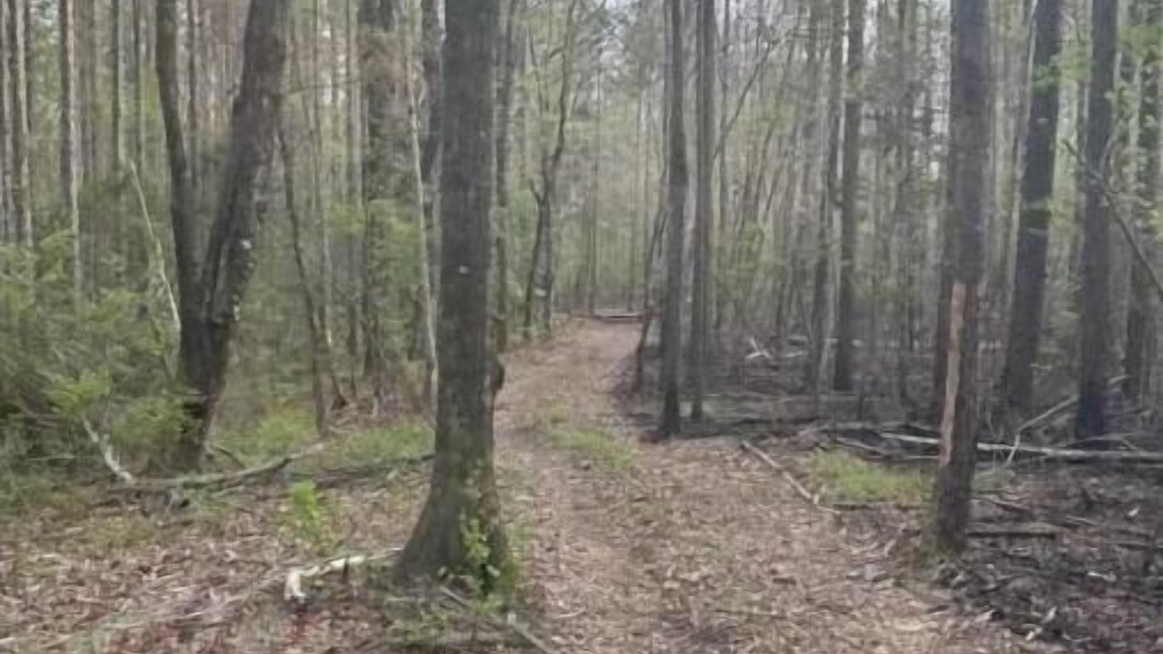 Photo of Others in Forest Home