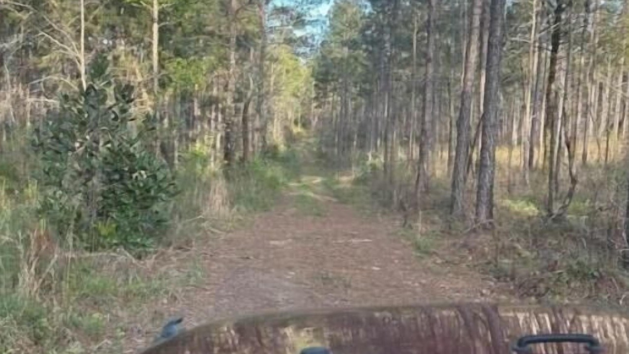 Photo of Others in Forest Home