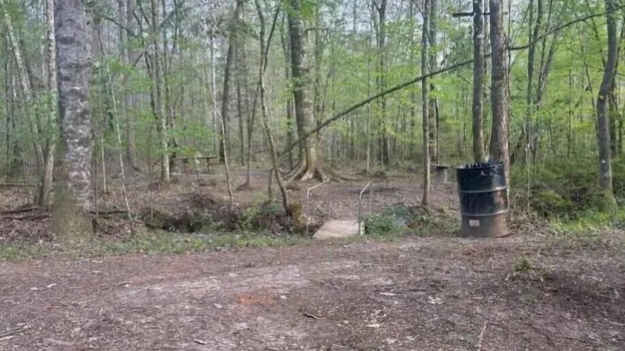 Photo of Others in Forest Home