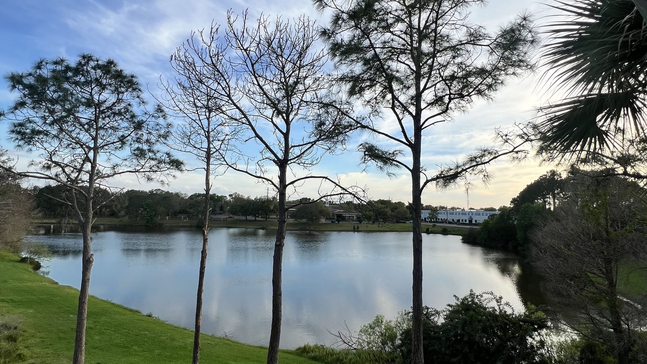 Photo of Outdoor in Lake Mary