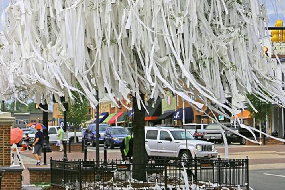 Photo of Others in Auburn
