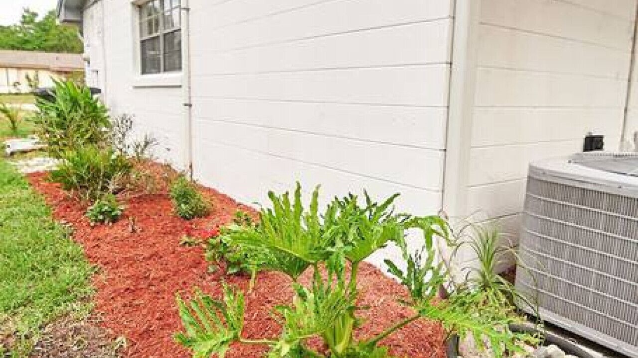 Photo of Outdoor in Saint Augustine Shores