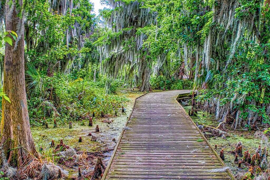 Photo of Outdoor in Mount Dora