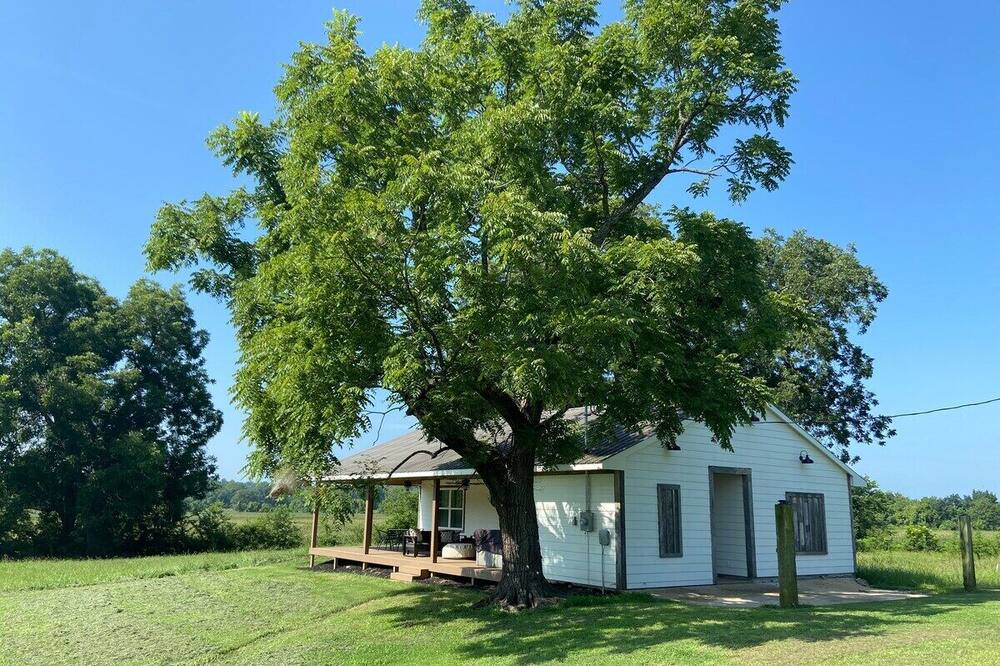 Photo of Outdoor in Starkville
