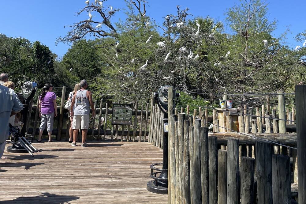 Photo of Others in St. Augustine