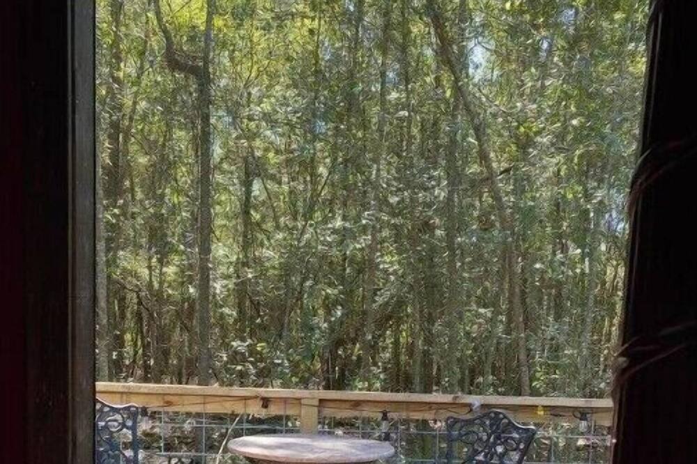 Photo of Outdoor in Live Oak