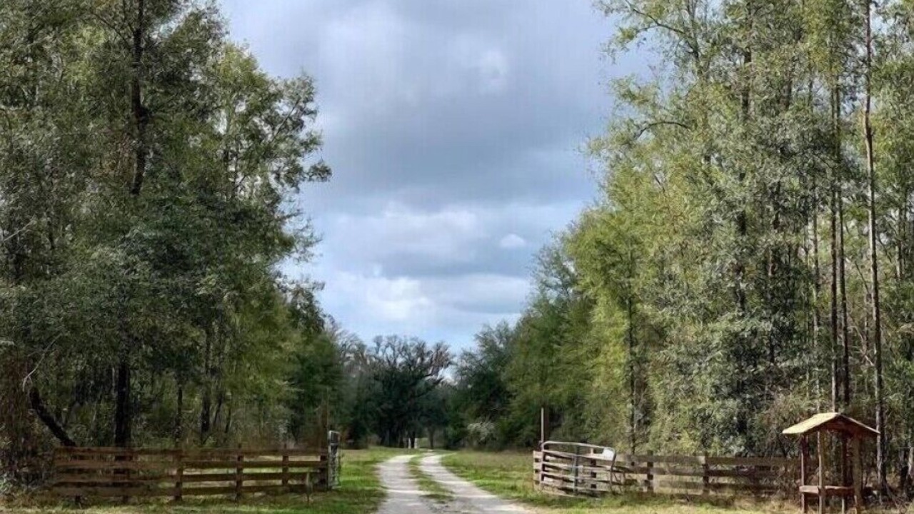 Photo of Outdoor in Live Oak