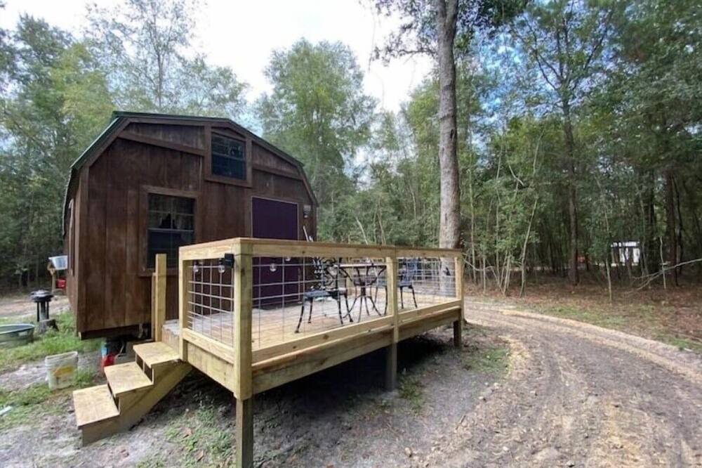 Photo of Outdoor in Live Oak