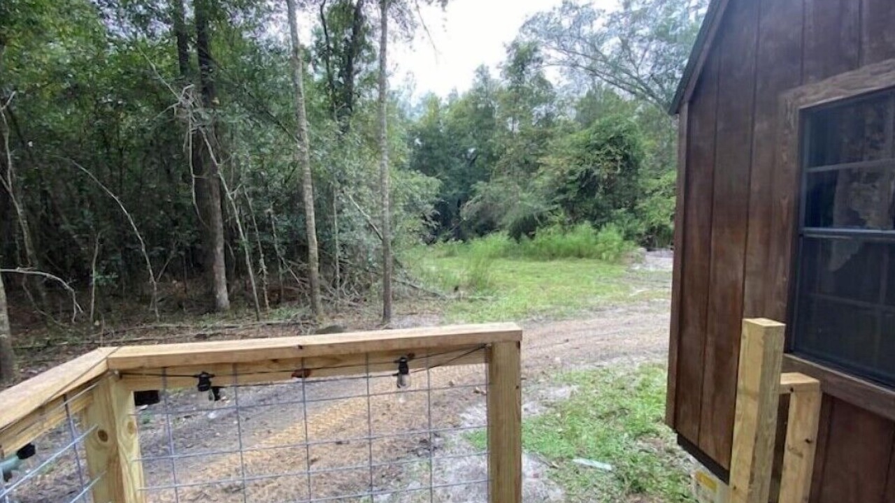 Photo of Outdoor in Live Oak