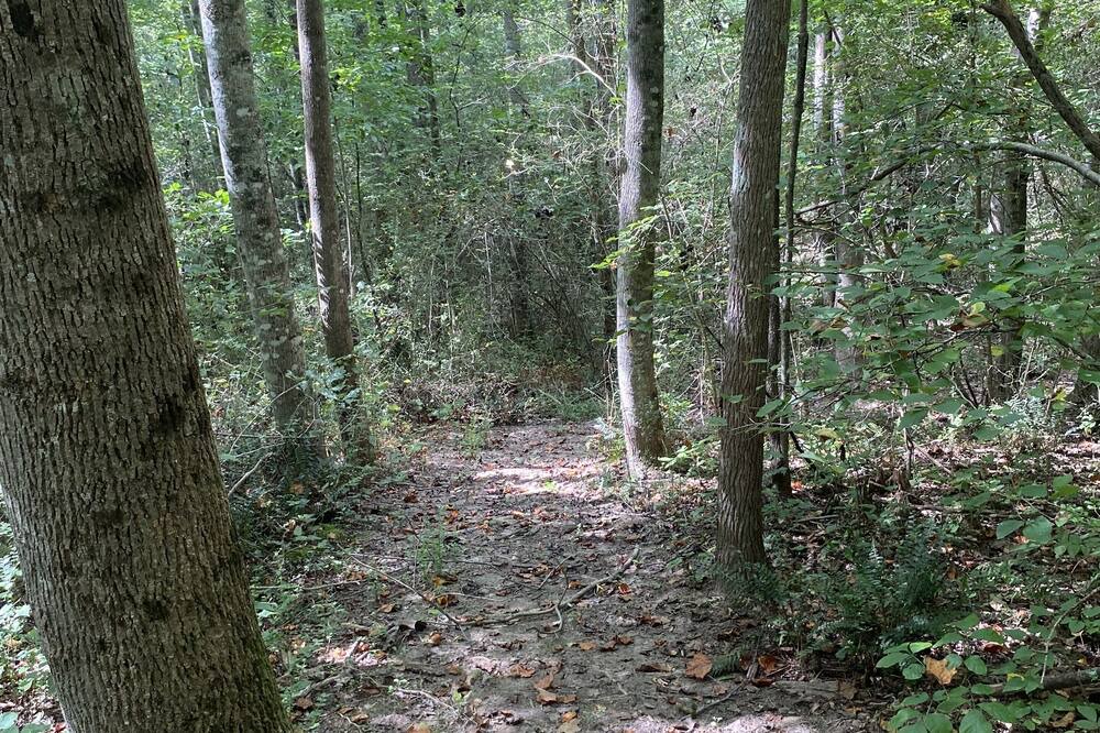 Photo of Outdoor in Valley Head