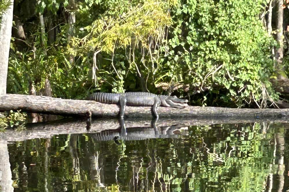 Photo of Others in Crescent City