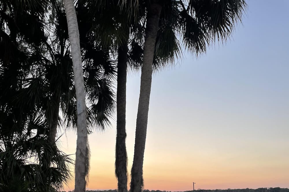 Photo of Outdoor in Crescent City