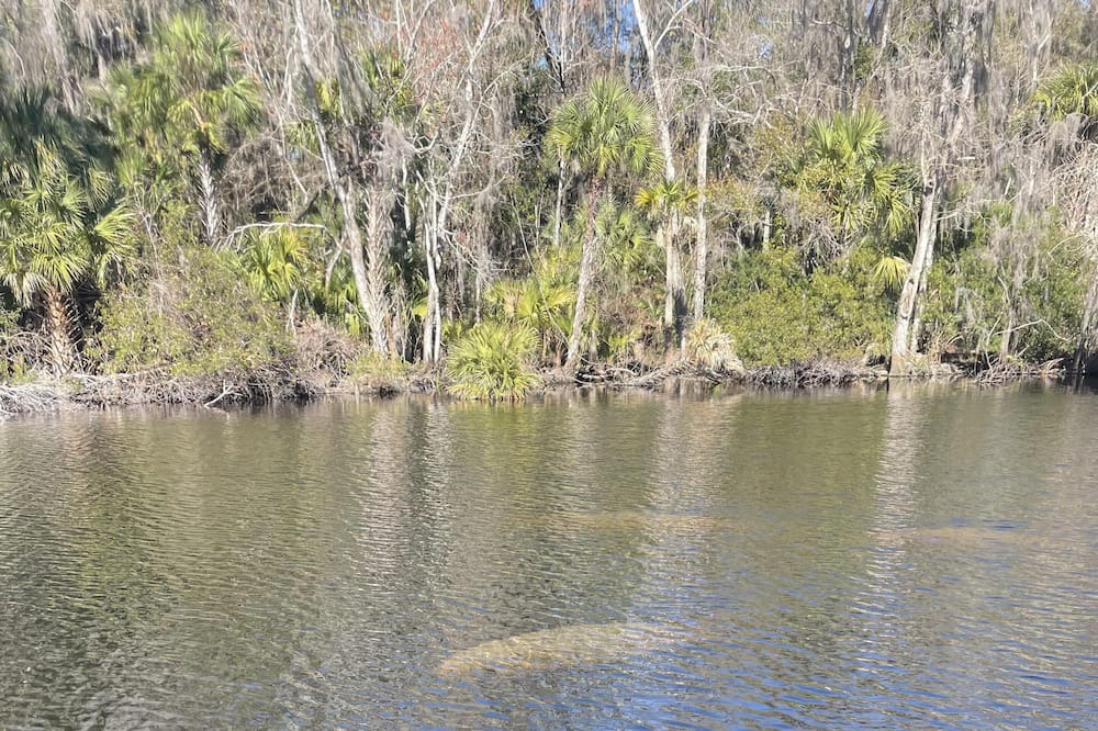 Photo of Outdoor in Crescent City