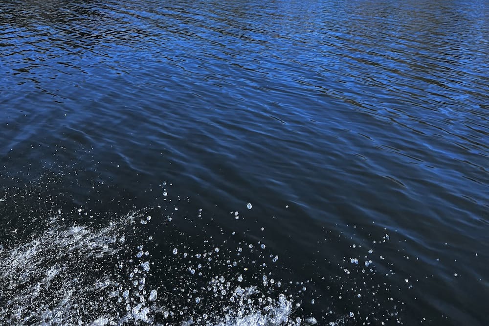 Photo of Others in River Falls