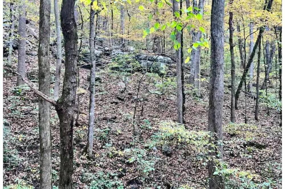 Photo of Outdoor in Groveoak