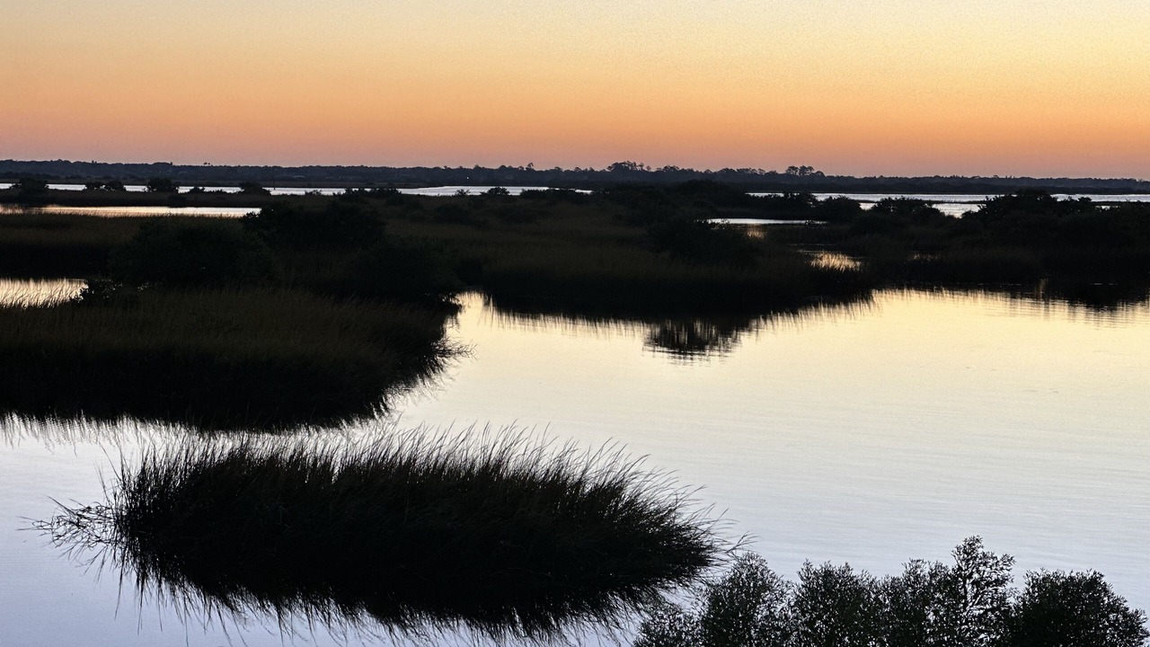 Photo of Others in St. Augustine South