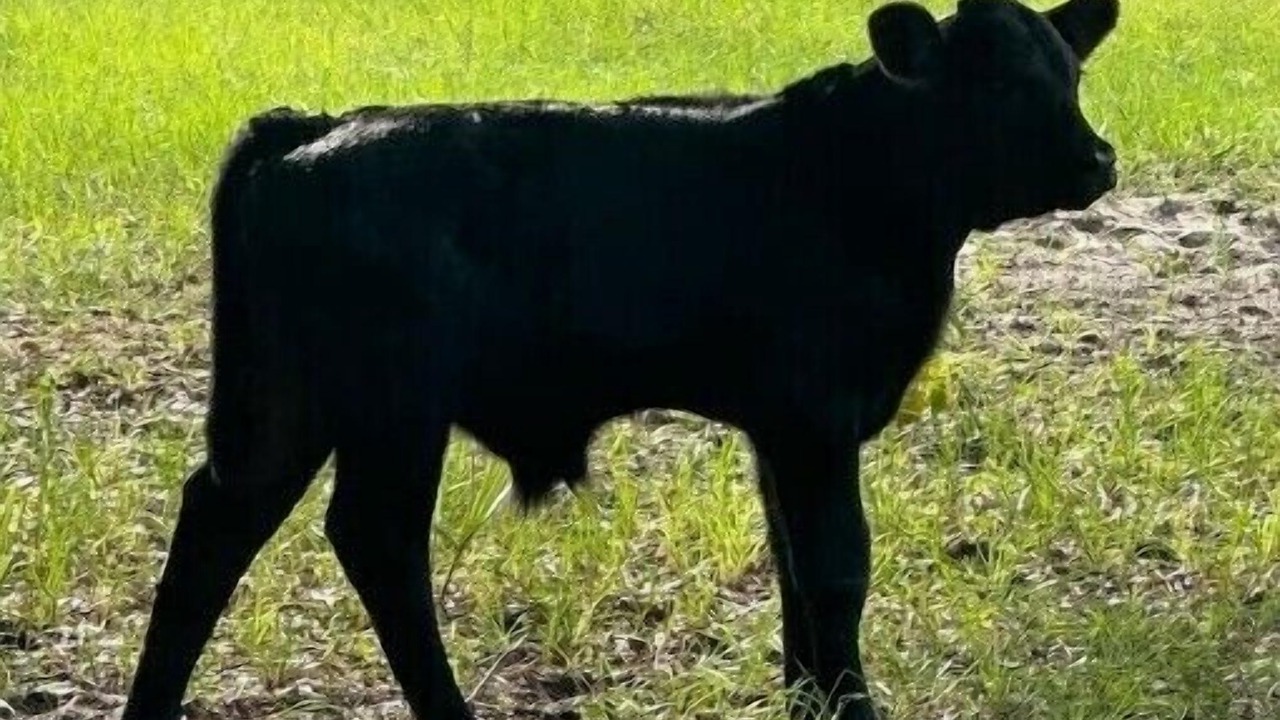 Photo of Others in Umatilla