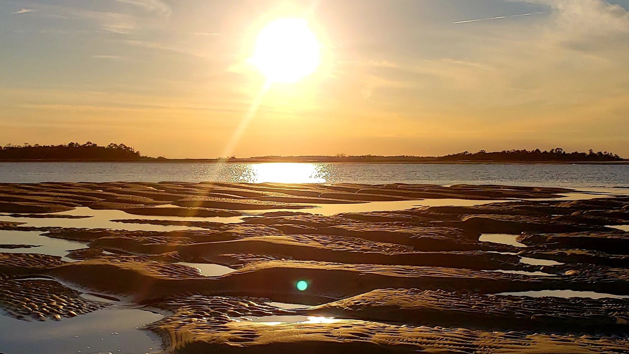 Photo of Others in Tybee Island