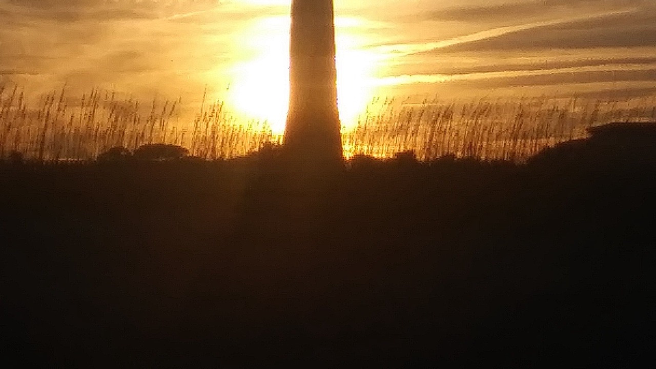 Photo of Others in Tybee Island
