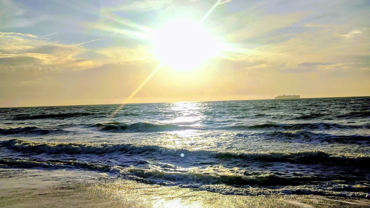 Photo of Others in Tybee Island