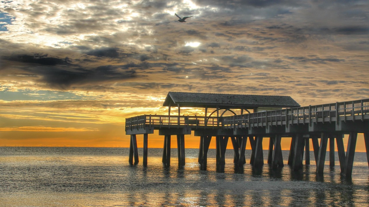 Photo of Others in Tybee Island