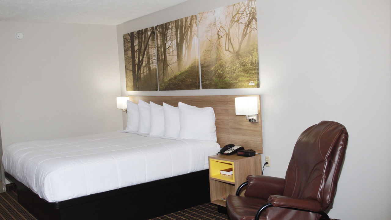 Photo of Bedroom in Forest