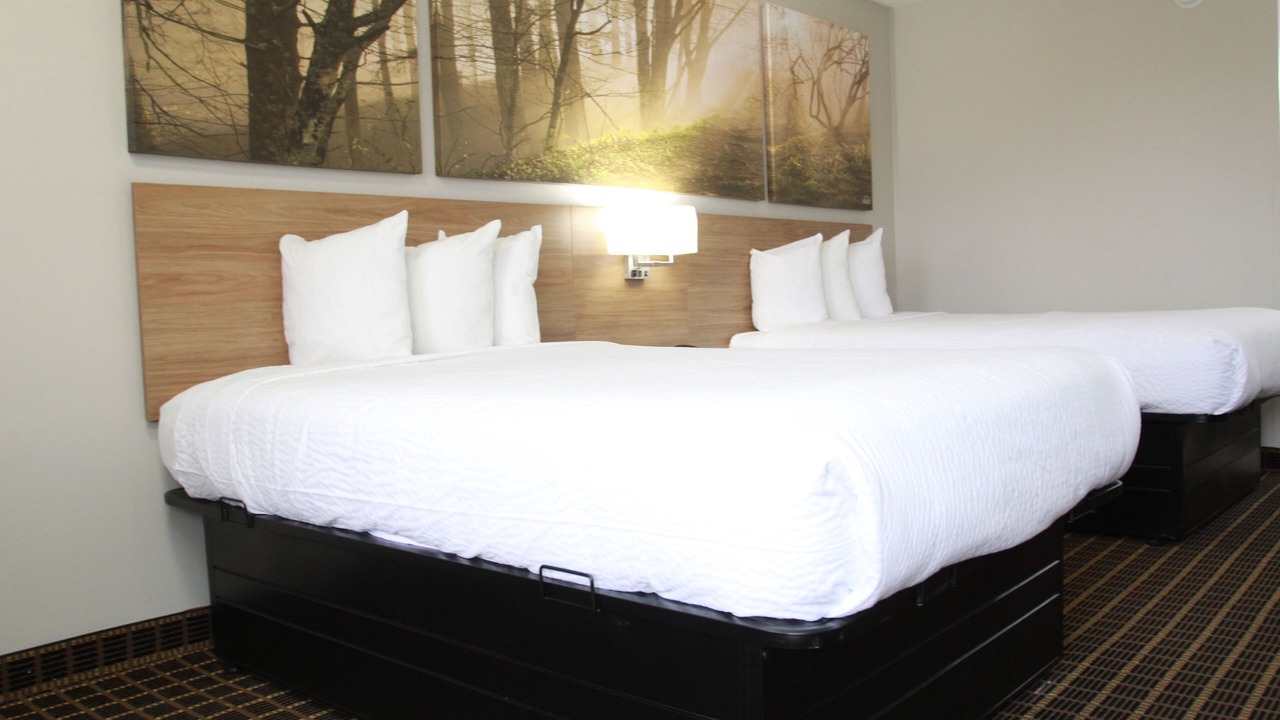 Photo of Bedroom in Forest