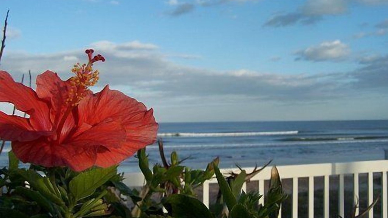Photo of Others in Ormond Beach
