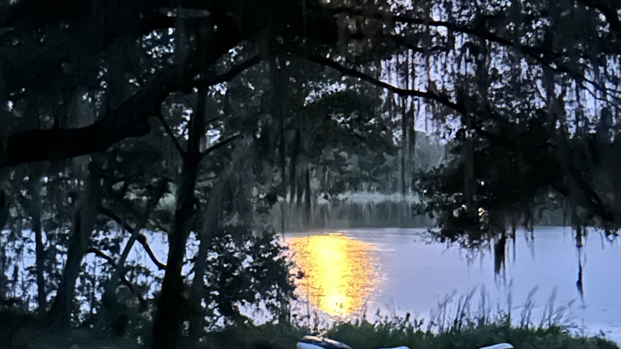 Photo of Outdoor in Interlachen