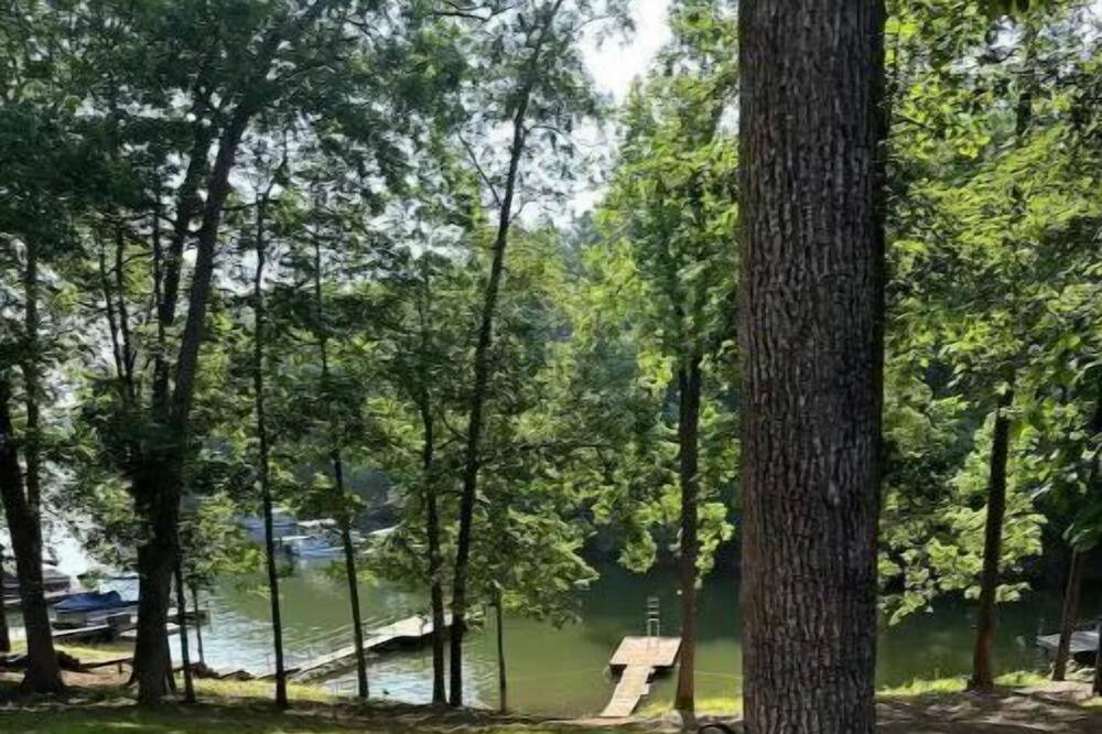 Photo of Outdoor in Townville