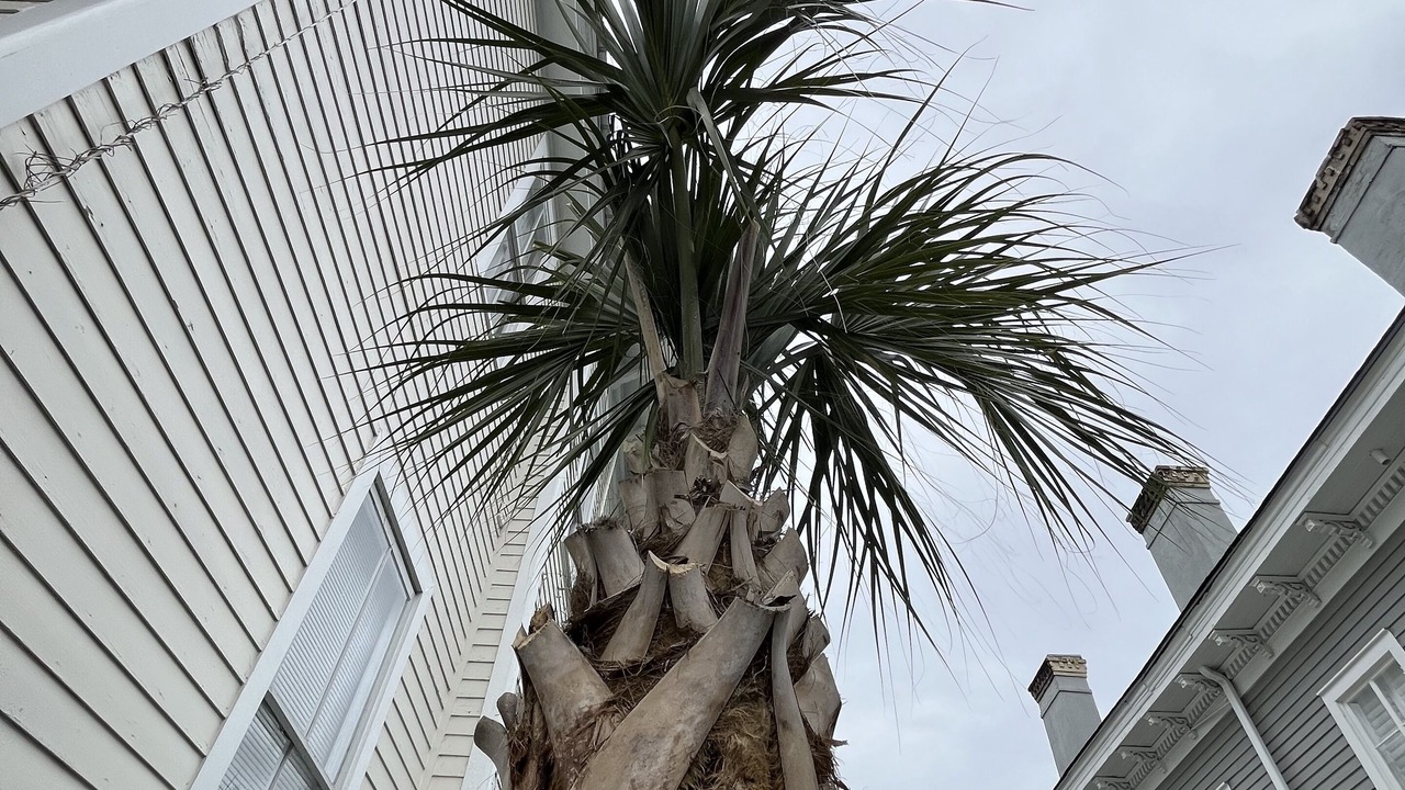 Photo of Outdoor in Savannah Victorian District