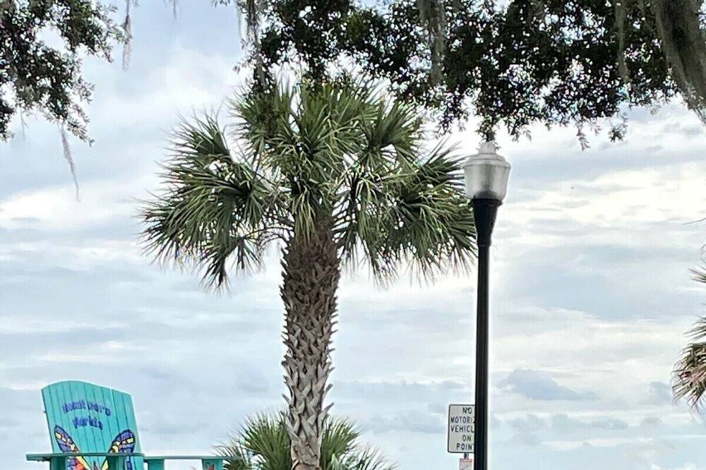Photo of Outdoor in Mount Dora
