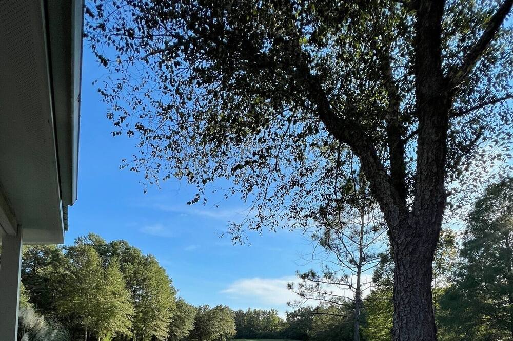 Photo of Outdoor in Carriere
