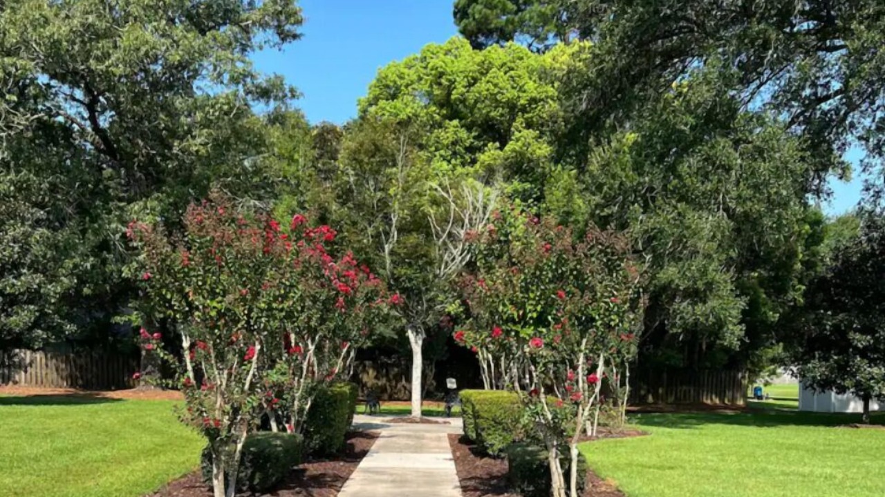 Photo of Outdoor in Thomasville