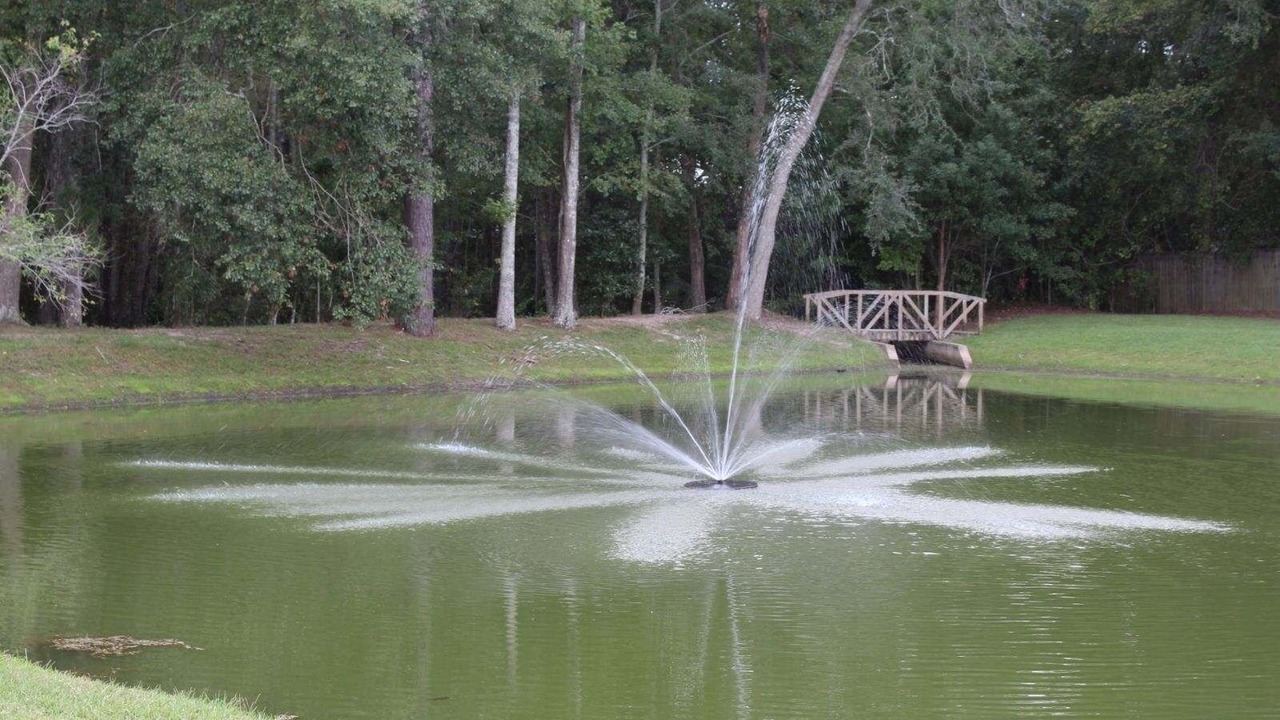 Photo of Outdoor in Thomasville