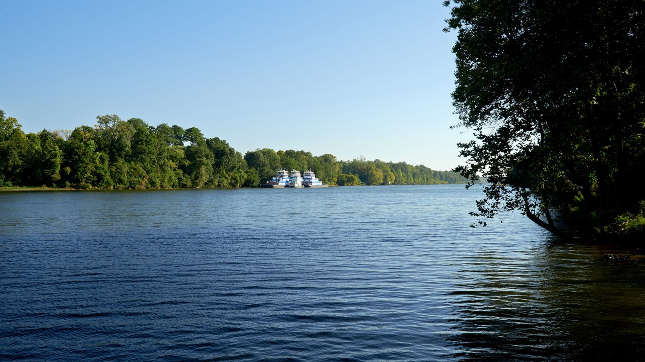 Photo of Others in Tuscaloosa