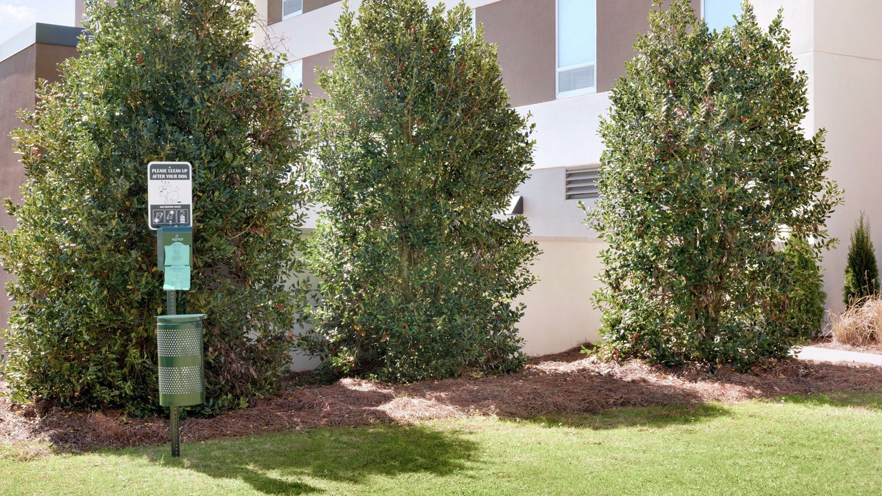 Photo of Outdoor in Prattville