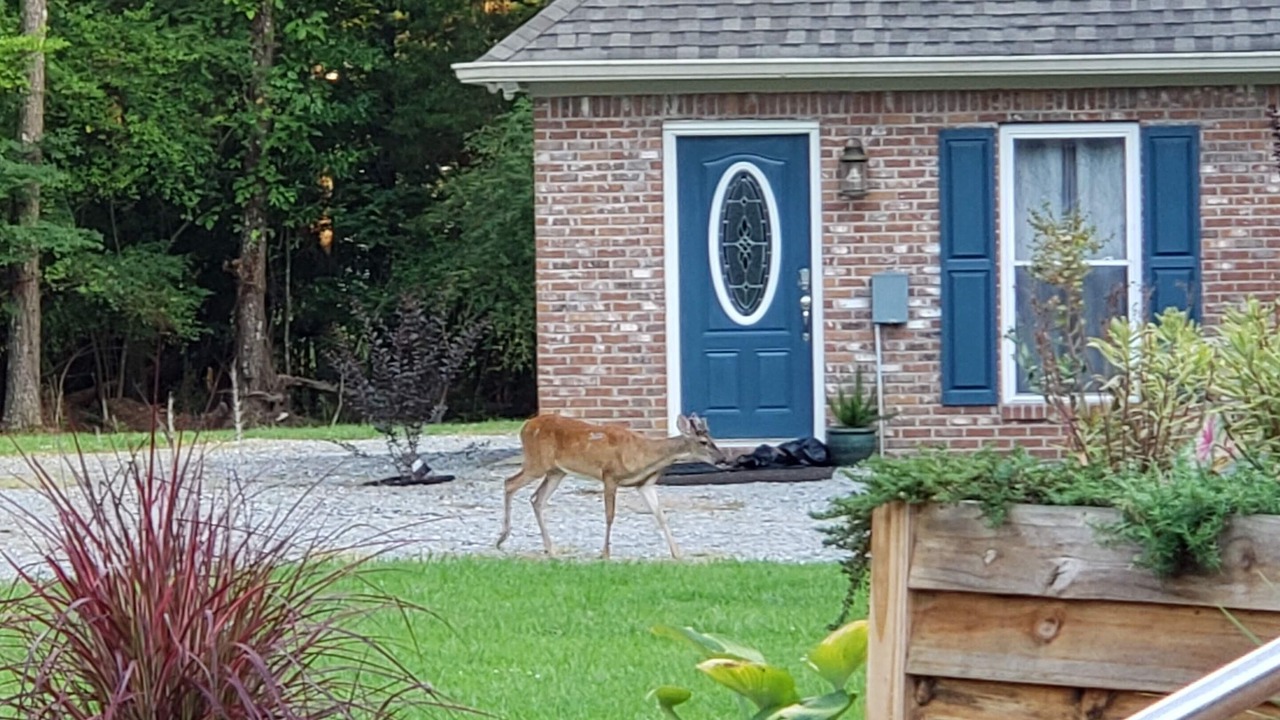 Photo of Outdoor in Madison