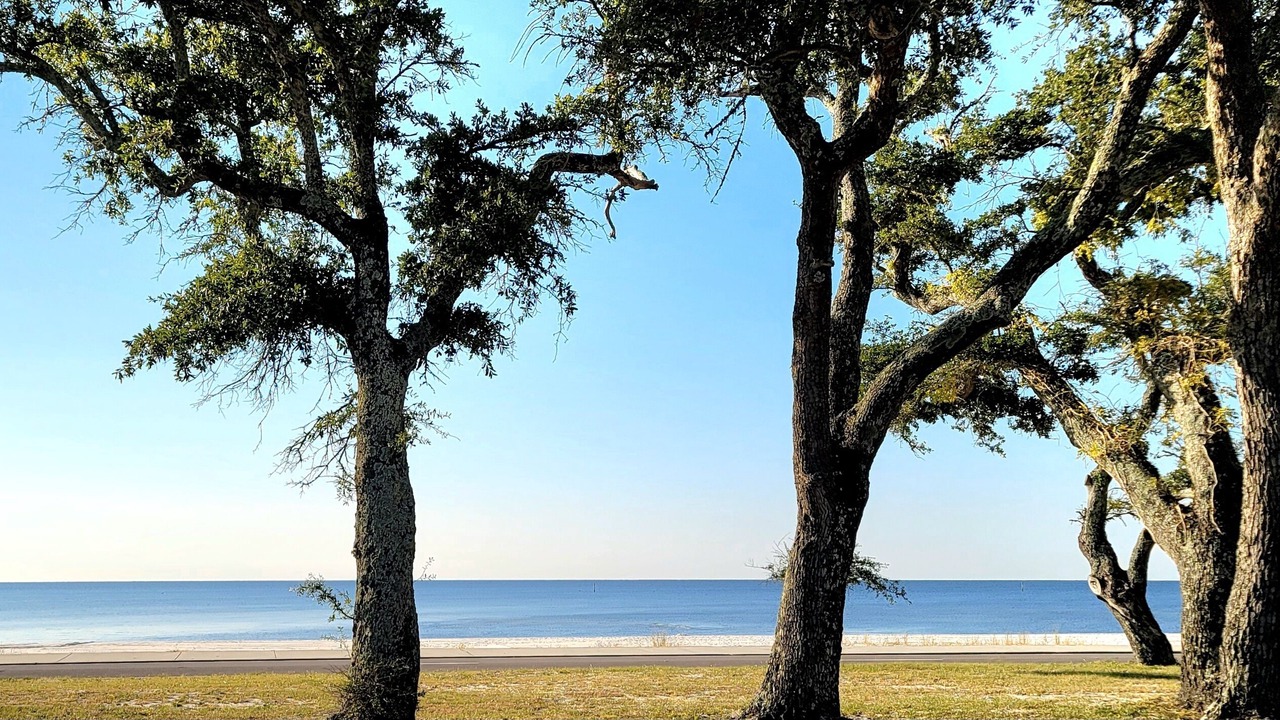 Photo of Others in Henderson Point