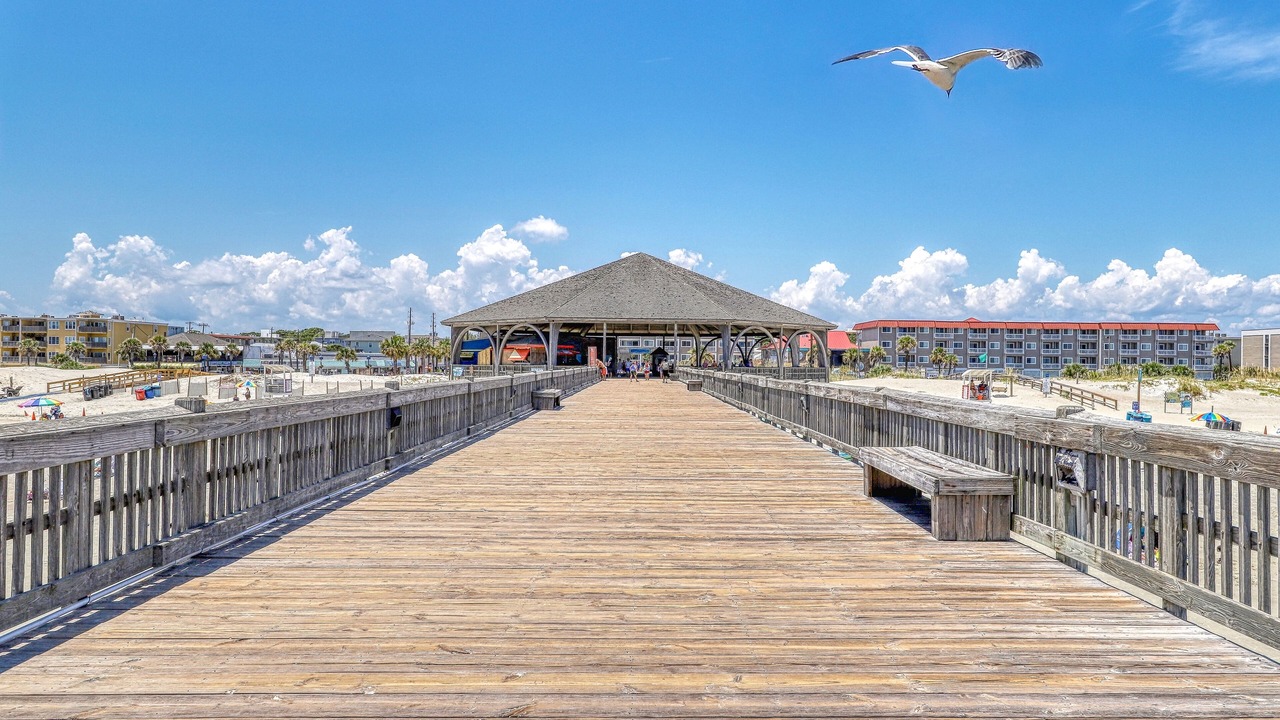 Photo of Others in Tybee Island