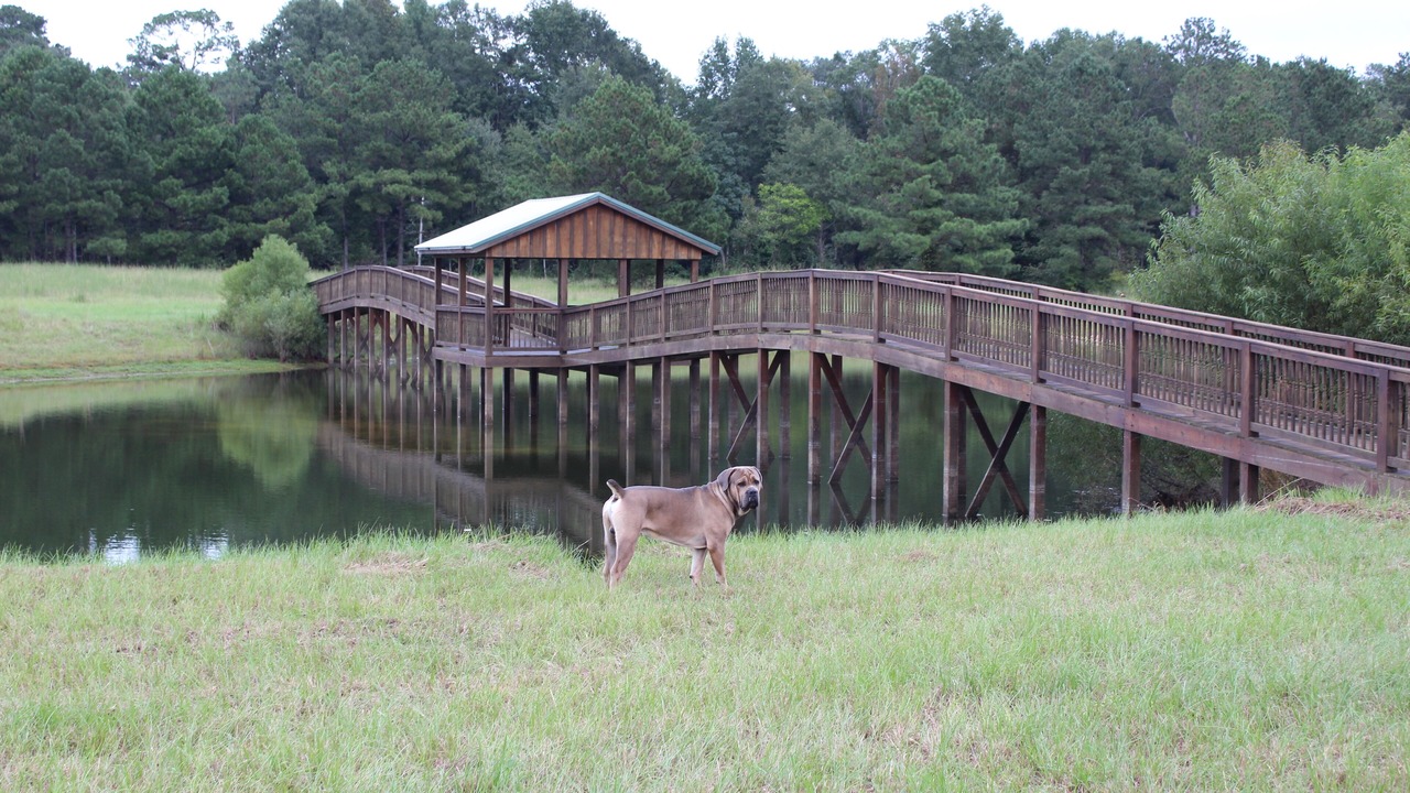 Photo of Outdoor in Pittsview
