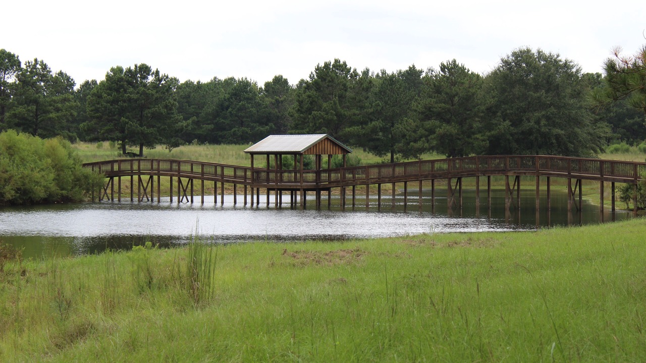 Photo of Outdoor in Pittsview