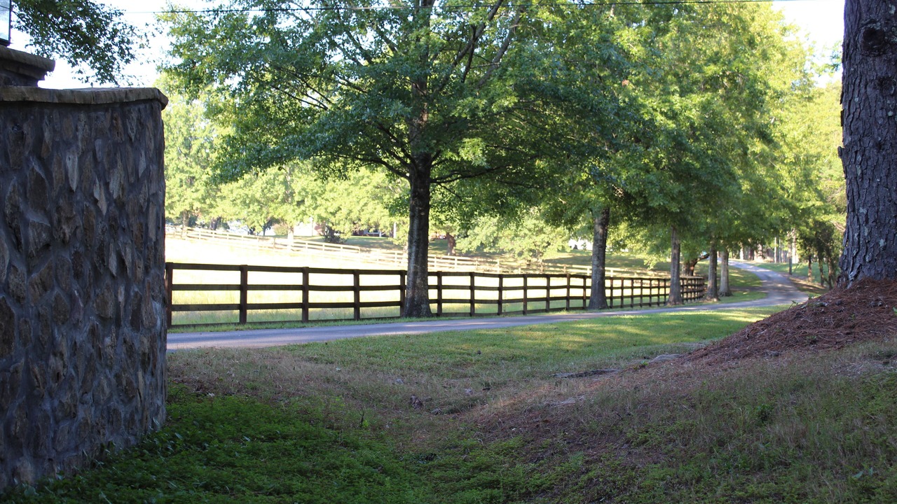 Photo of Outdoor in Pittsview