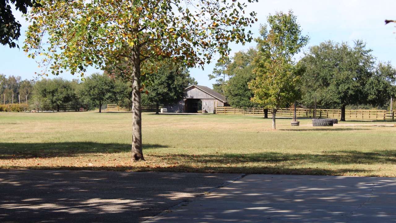 Photo of Outdoor in Pittsview