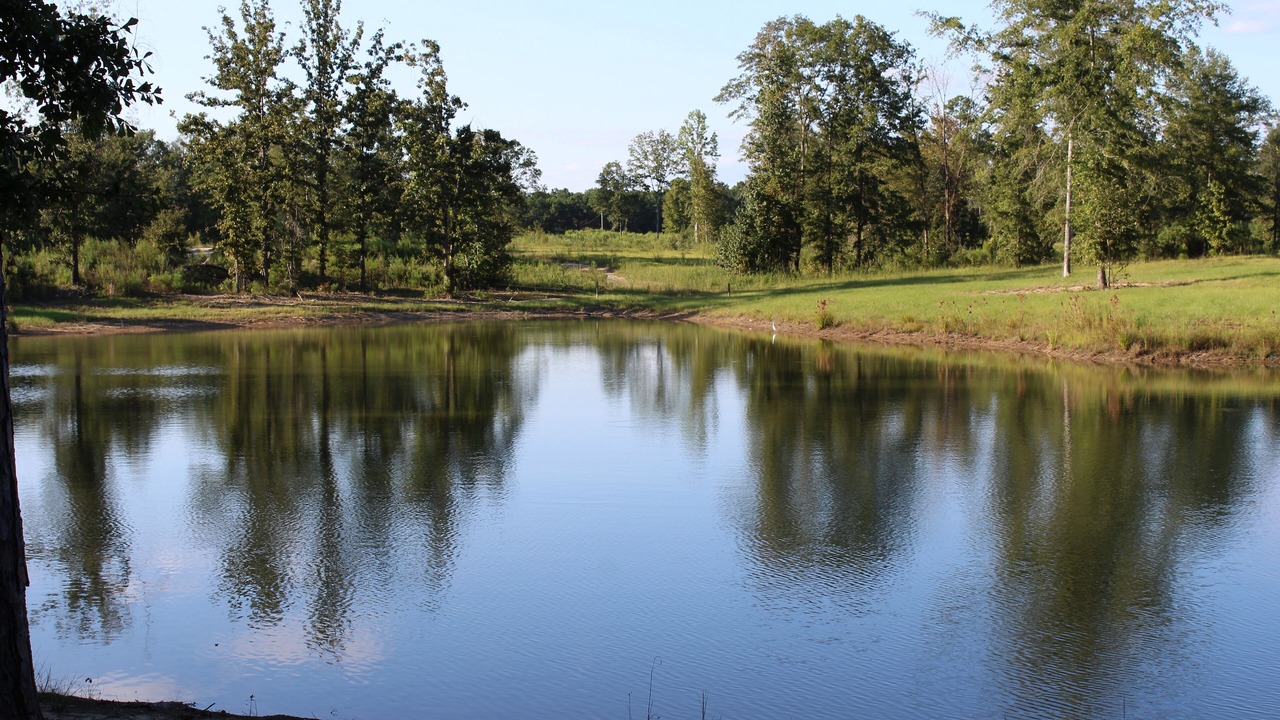 Photo of Outdoor in Pittsview