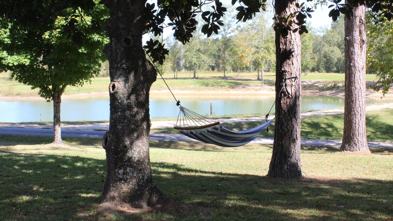 Photo of Outdoor in Pittsview