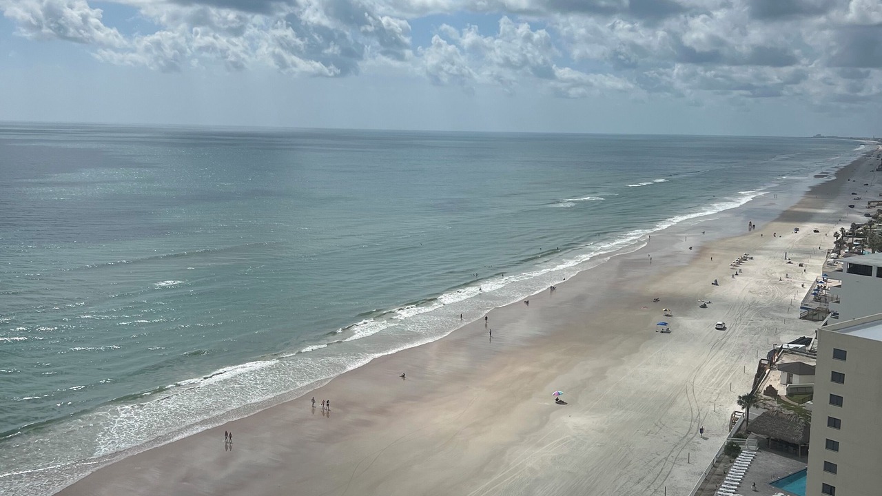 Photo of Others in Daytona Beach Shores