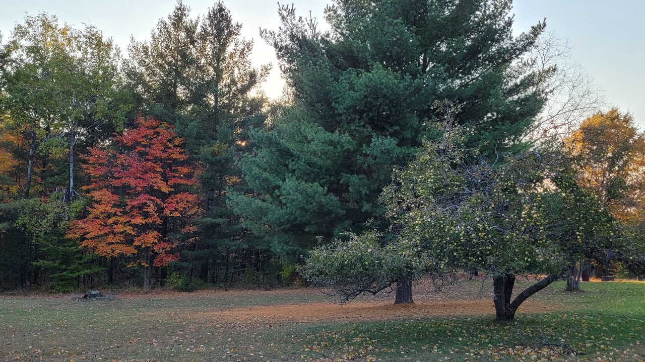 Photo of Outdoor in Northeast Michigan