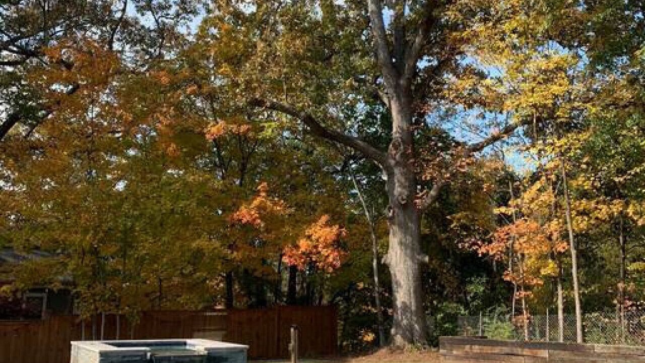 Photo of Outdoor in East Side
